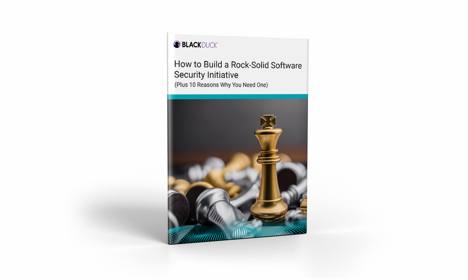 How to Build a Rock-Solid Software Security Initiative in 5 Steps