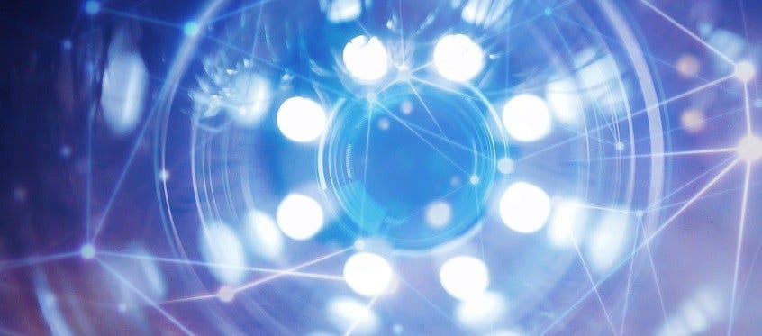 Participants in a Bug Bounty Program Analyzing Software for Security Weaknesses