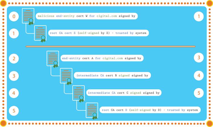 Visual Diagram of SSL Certificate Chain Process in Software Security