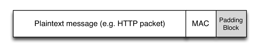 Diagram Illustrating Poodle Cybersecurity Attack in Plaintext