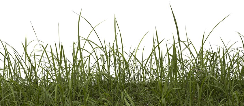 Data Protection, Threat Modeling, and Vulnerability Management Diagram