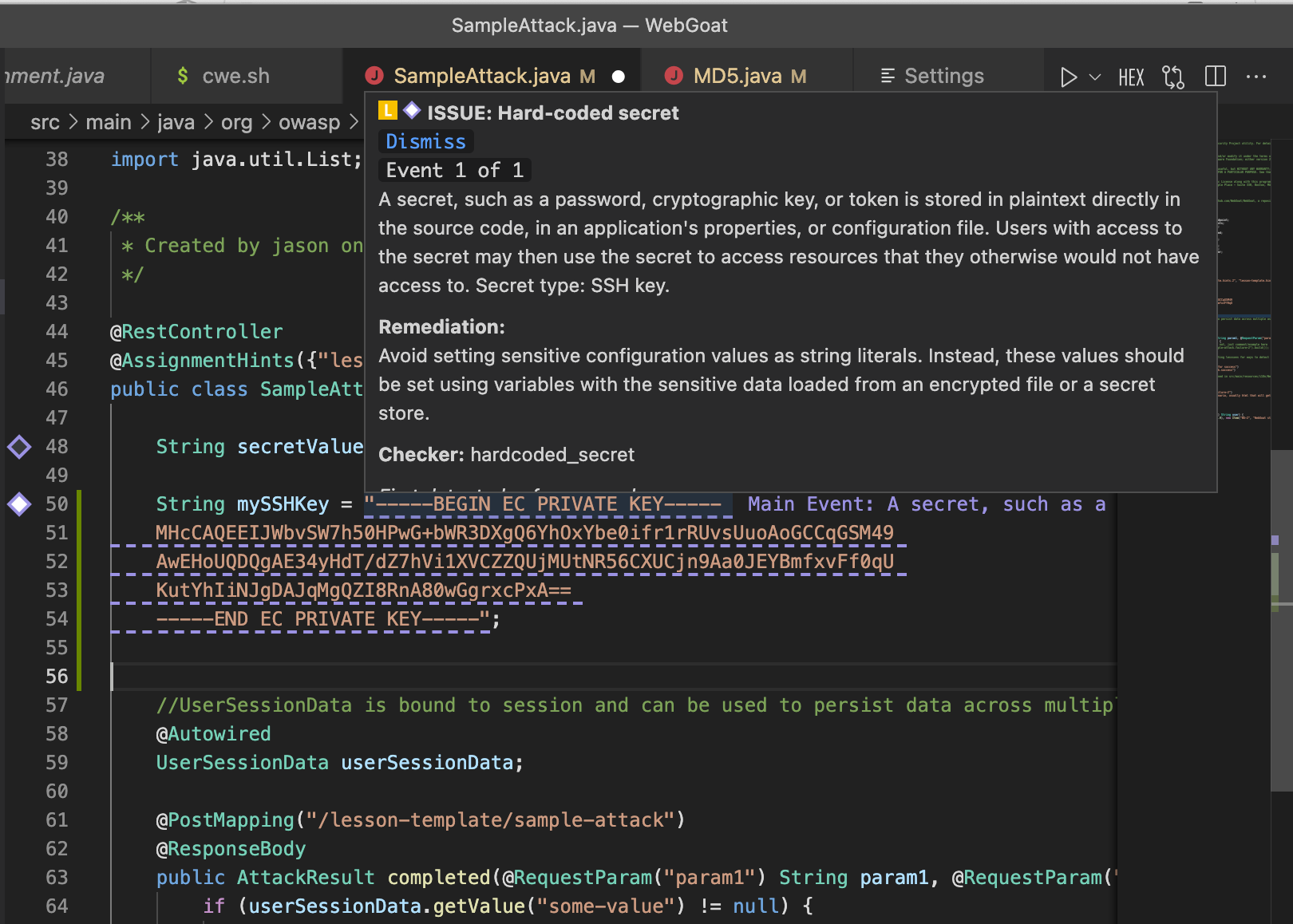 Synopsys Code Sight Detecting Hard-Coded Secrets in VS Code for Software Security Breach Prevention