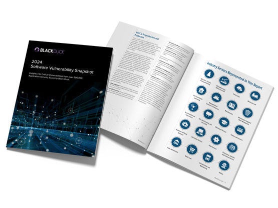 Software Vulnerability Snapshot Report Cover