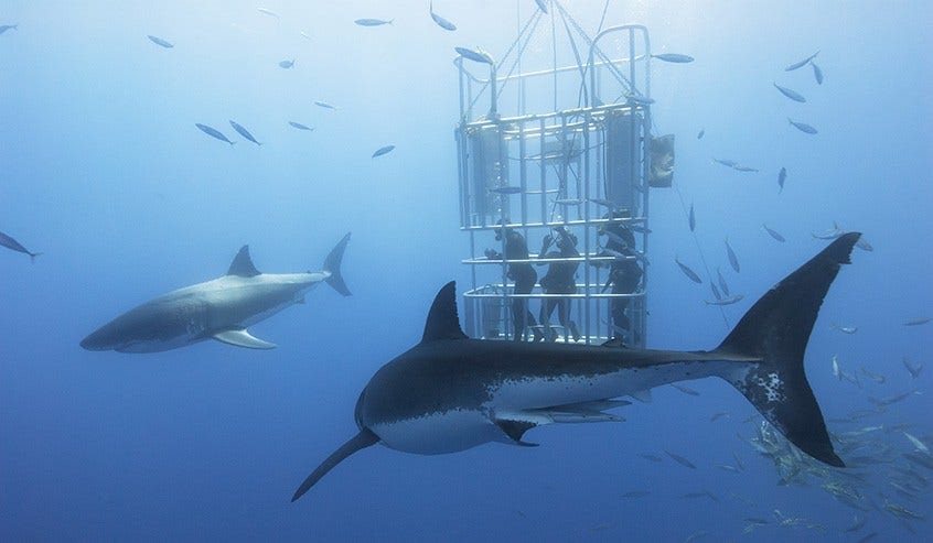  5G のセキュリティ