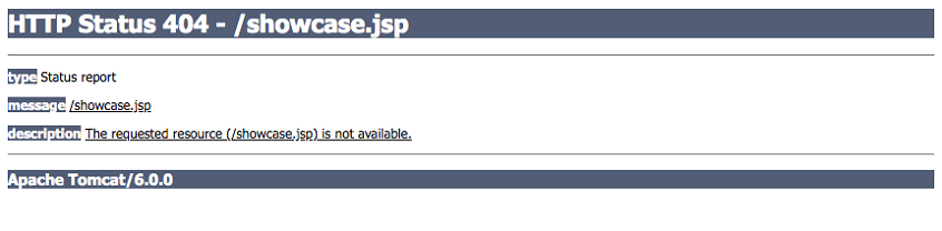 HTTP Status 404 Apache Struts Environments Diagram Showing Error Message
