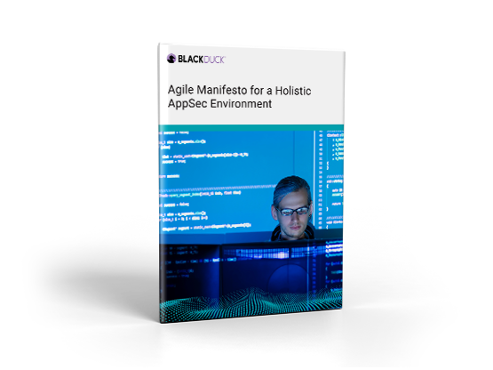 Agile Manifesto for a Holistic AppSec Environment