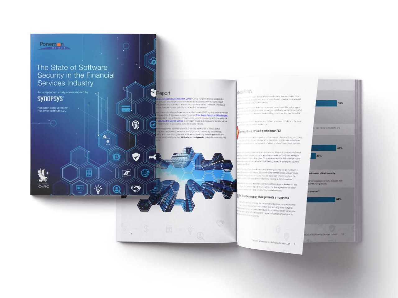 Software Security in the Financial Services Industry