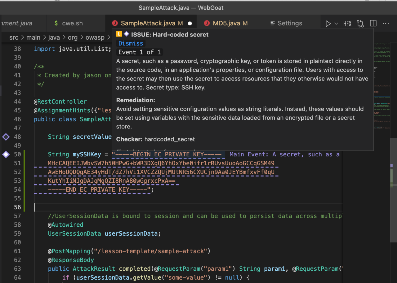 Synopsys Code Sight Detecting Hard-Coded Secrets in VS Code for Software Security Breach Prevention