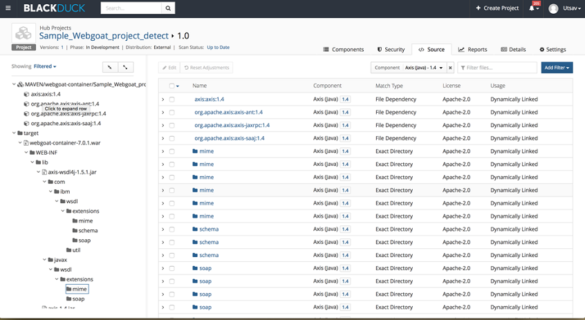 Software Security Synopsys Hub Detect Tool for Native Build and CI Tools