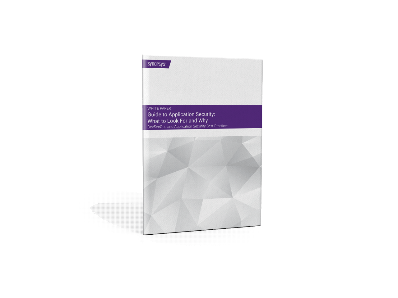 Guide to Application Security: What to Look For and Why