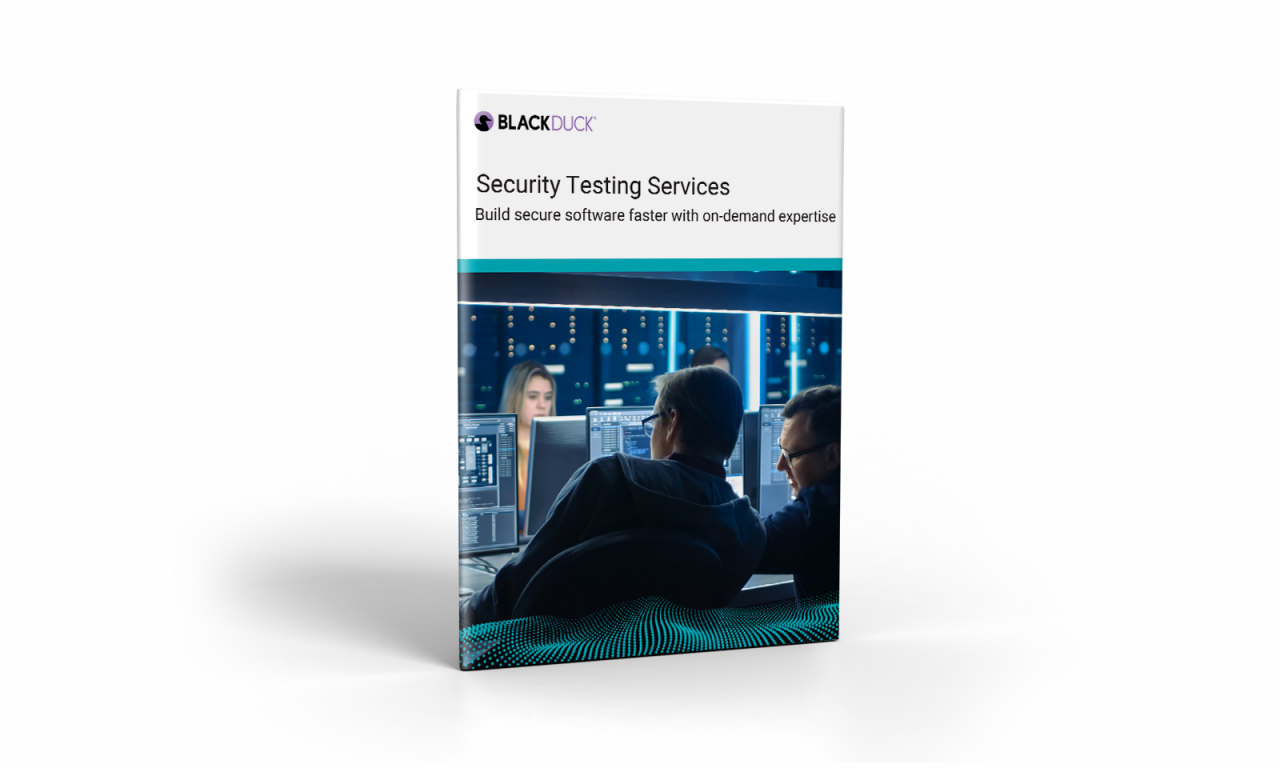 Security Testing Services Guide
