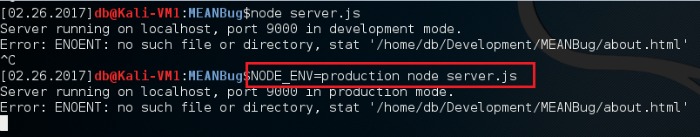 Setting NODE_ENV Variable in Node.js Runtime Environment