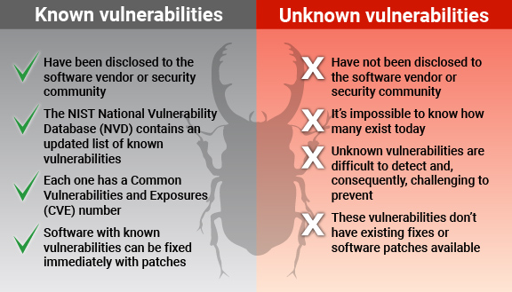 Comparative Chart Illustrating Known Versus Unknown Software Security Vulnerabilities