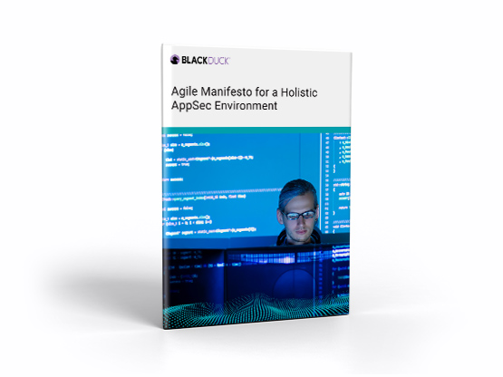 Agile Manifesto for a Holistic AppSec Environment