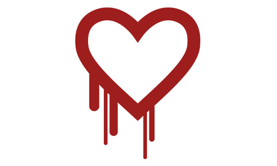 Heartbleed vulnerability: What should you do?