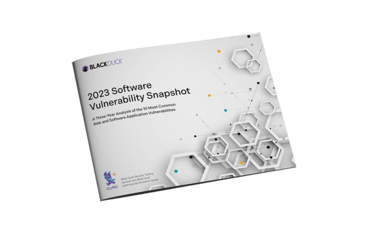 Software Vulnerability Snapshot