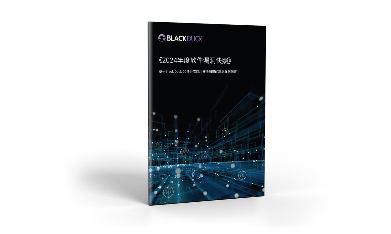 Vulnerabilities Booklet | Synopsys